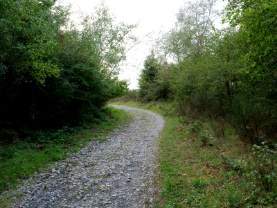 Trail from Urfttalsperre to Dreiborner Hochfläche in September 2019 13