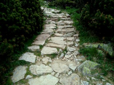 Trail in Tatra mountains paved with local rocks