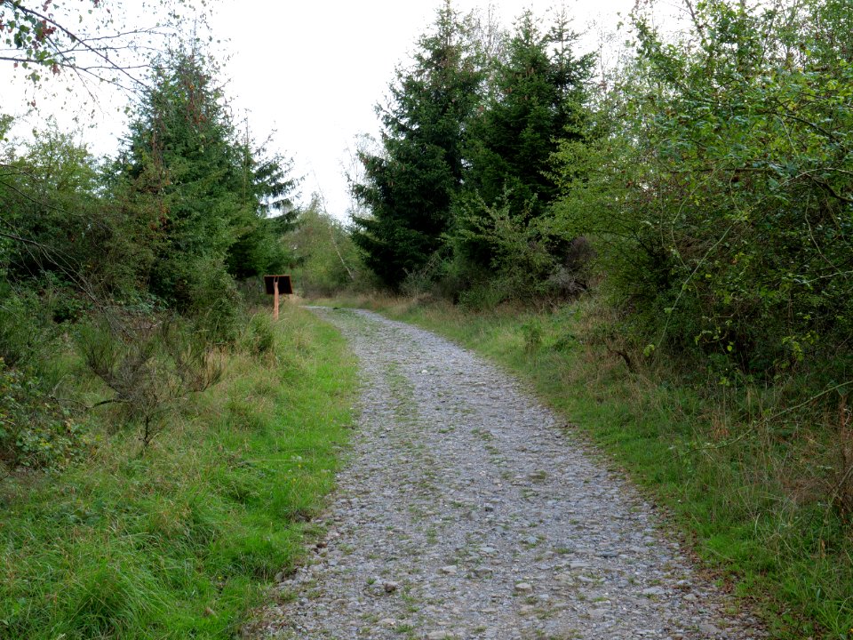Trail from Urfttalsperre to Dreiborner Hochfläche in September 2019 16