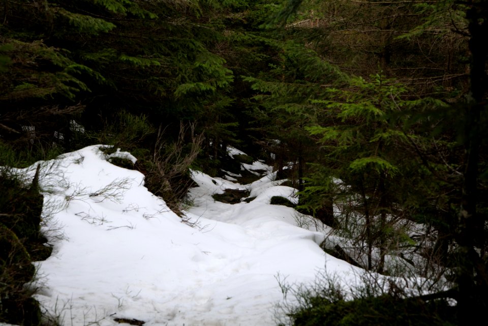 Trail on Hoher Ochsenkopf 2020-03-15 88