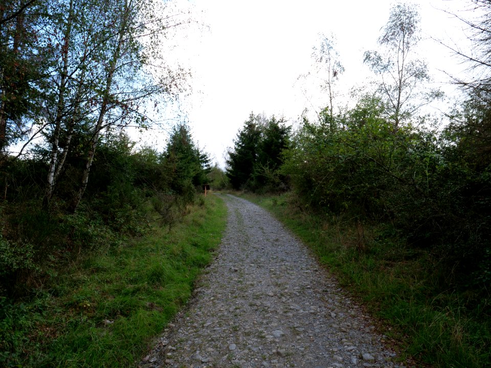 Trail from Urfttalsperre to Dreiborner Hochfläche in September 2019 15
