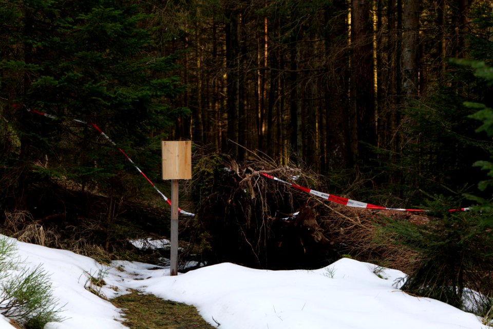 Trail on Hoher Ochsenkopf 2020-03-15 02