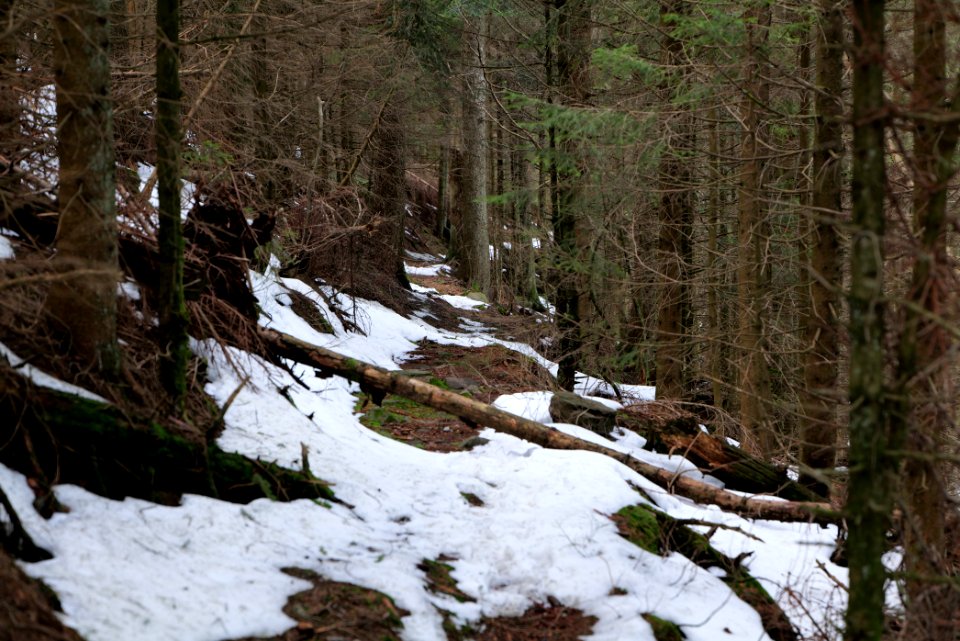 Trail on Hoher Ochsenkopf 2020-03-15 95