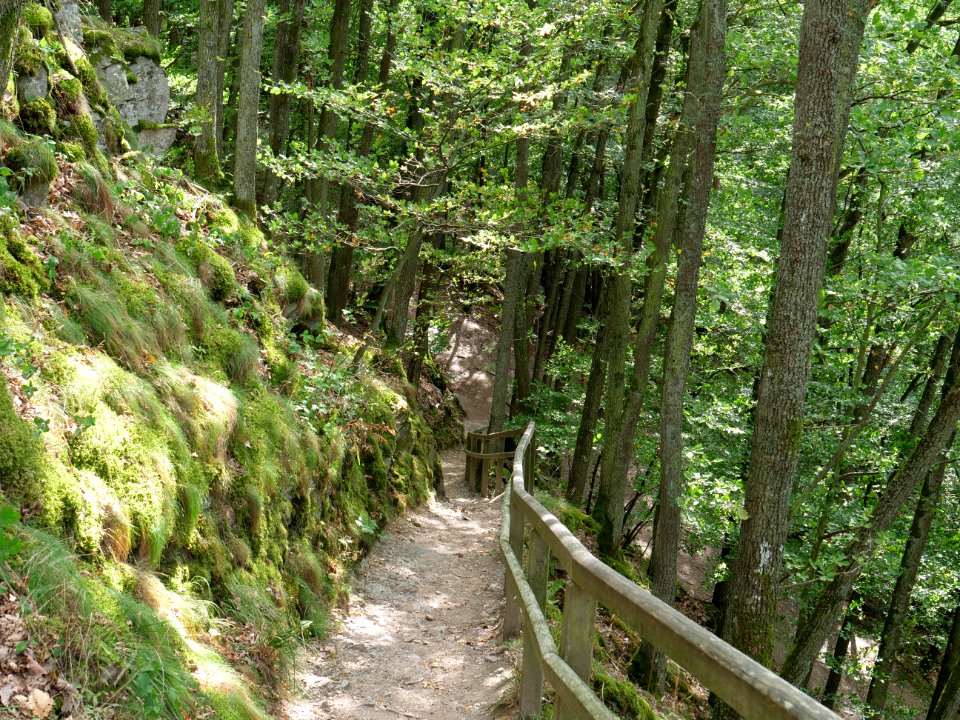 Trail from Urfttalsperre to Dreiborner Hochfläche in September 2019 02