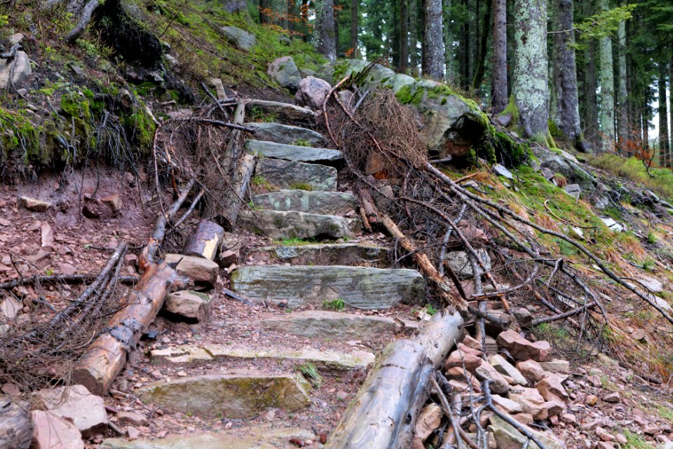 Trail in the Black Forest at north of Obertal Baiersbronn 2020-03-11 25