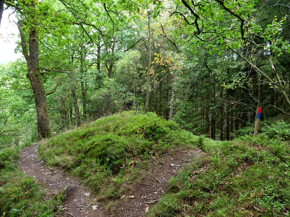 Trail in Erkensruhr valley near Leykaul 03