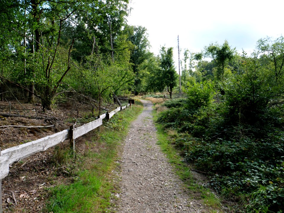 Trail from Urfttalsperre to Dreiborner Hochfläche in September 2019 08