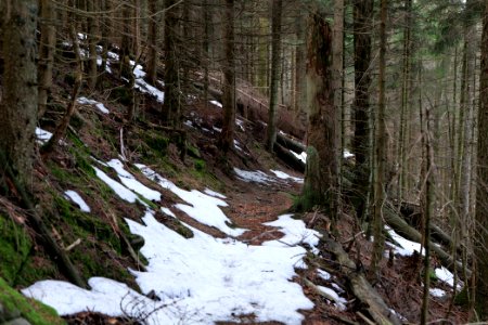 Trail on Hoher Ochsenkopf 2020-03-15 97