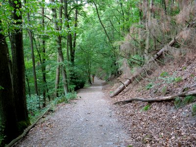 Trail from Urfttalsperre to Dreiborner Hochfläche in September 2019 05