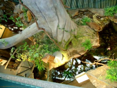 Trailside Nature & Science Center Watchung NJ interior view looking at pond near staircase