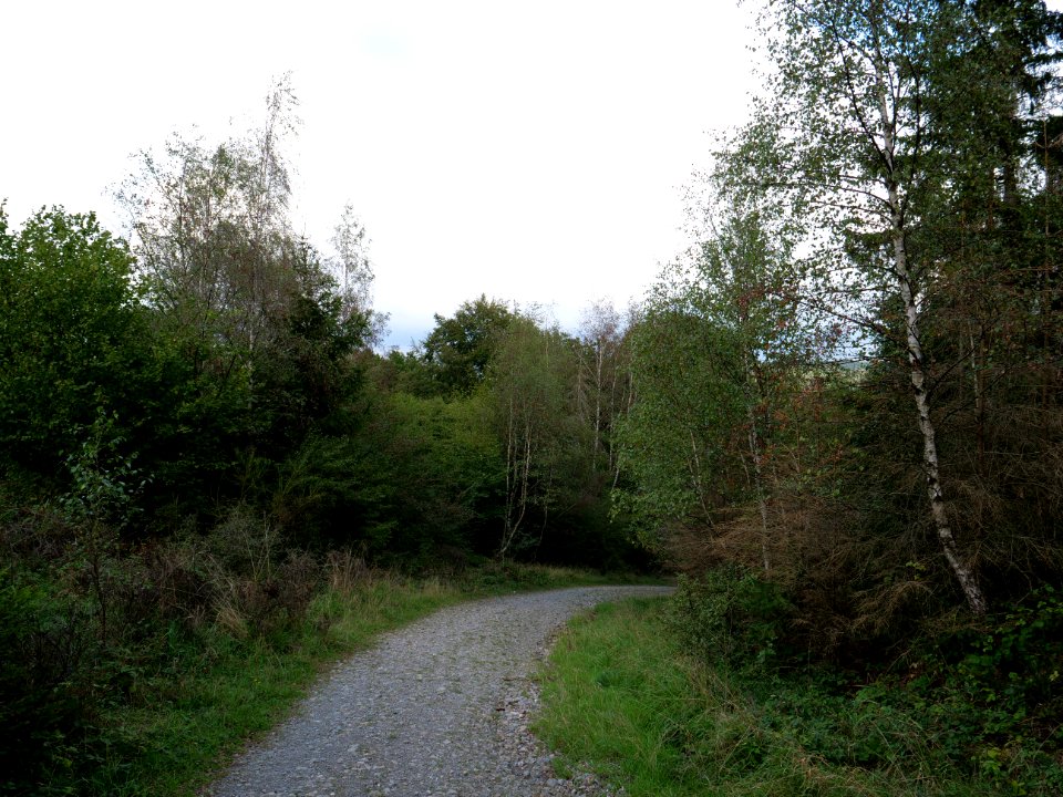 Trail from Urfttalsperre to Dreiborner Hochfläche in September 2019 14