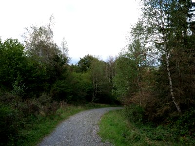 Trail from Urfttalsperre to Dreiborner Hochfläche in September 2019 14