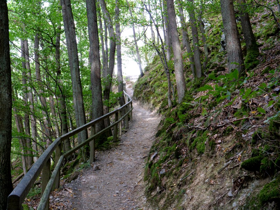 Trail from Urfttalsperre to Dreiborner Hochfläche in September 2019 03