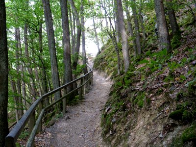 Trail from Urfttalsperre to Dreiborner Hochfläche in September 2019 03