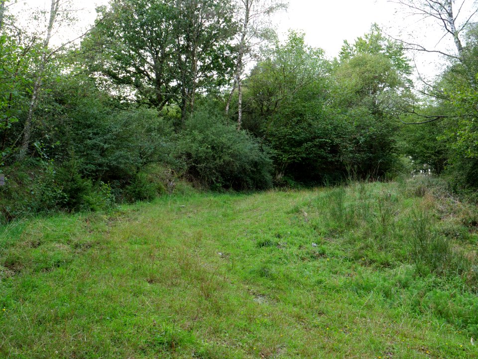 Trail from Urfttalsperre to Dreiborner Hochfläche in September 2019 12