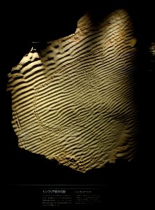 Trails over ripples - National Museum of Nature and Science, Tokyo - DSC07764