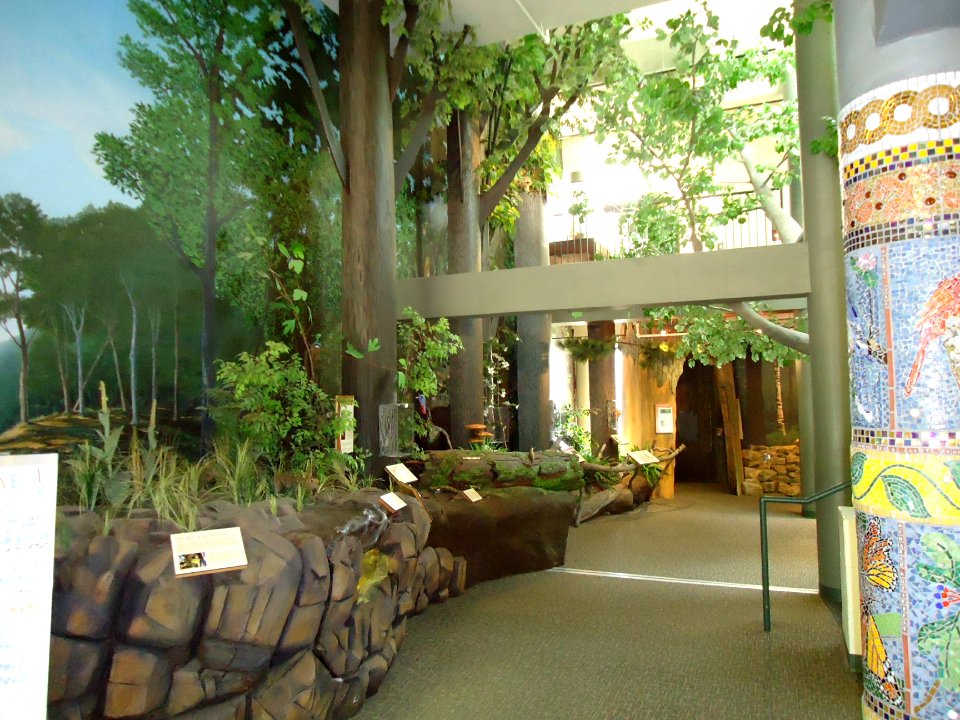 Trailside Nature & Science Center in Watchung Park NJ interior view of diorama
