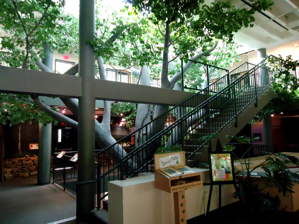 Trailside Nature & Science Center Watchung NJ interior view