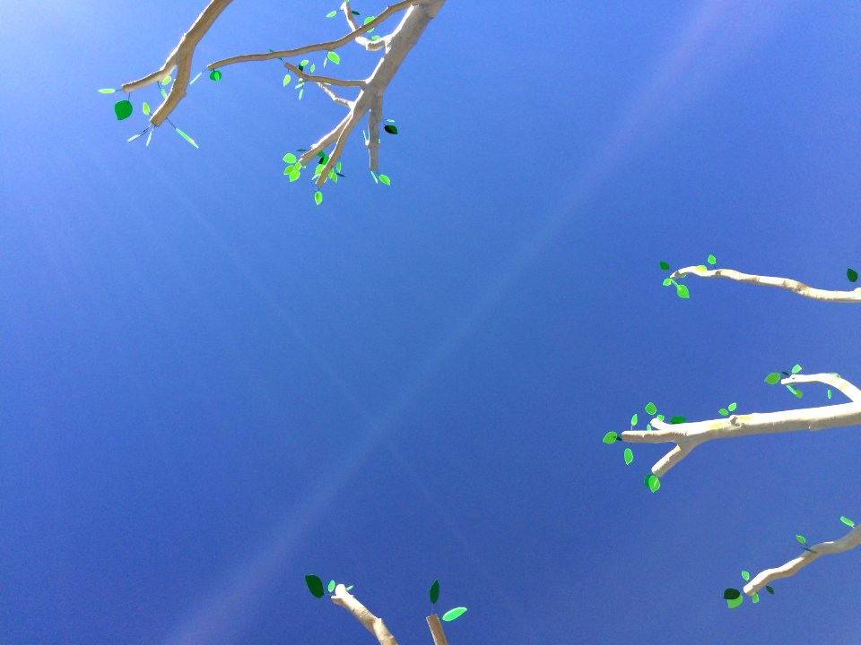 Trees with plastic leaves and blue sky