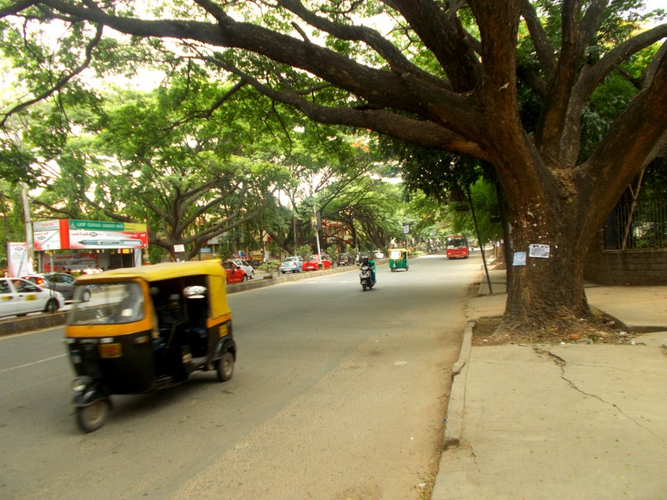 Trees on either side of Inner Ring Road - Koramangala