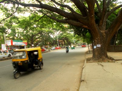Trees on either side of Inner Ring Road - Koramangala