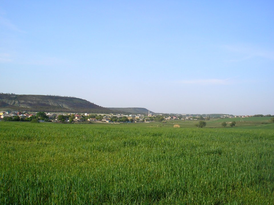 Trehprudnoe 1
