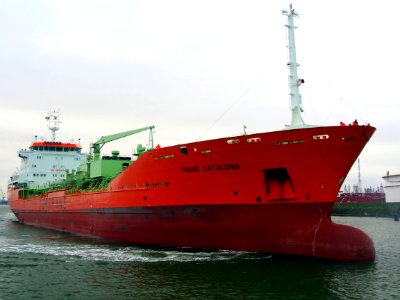 Trans Catalonia (ship, 2000), IMO 9176694, Port of Antwerp pic2