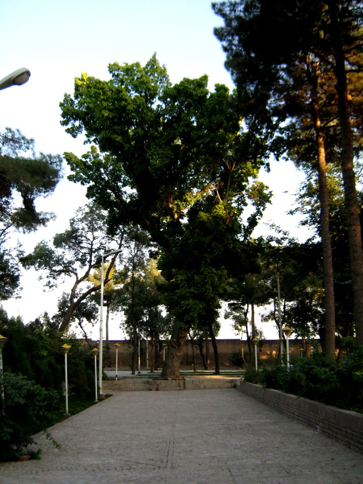 Trees - pavement - Mohammad Al Mahruq Mosque - Nishapur 6
