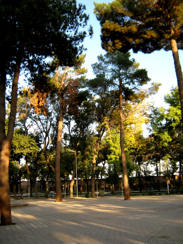 Trees - pavement - Mohammad Al Mahruq Mosque - Nishapur 7