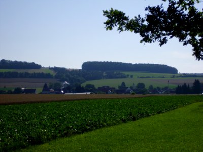 Treidelheim 2014 photo