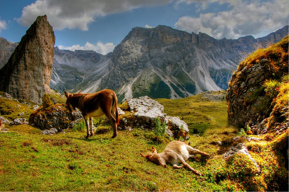Landscape south tyrol mountains