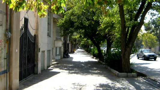 Tree - houses - sidewalk - Nishapur 18