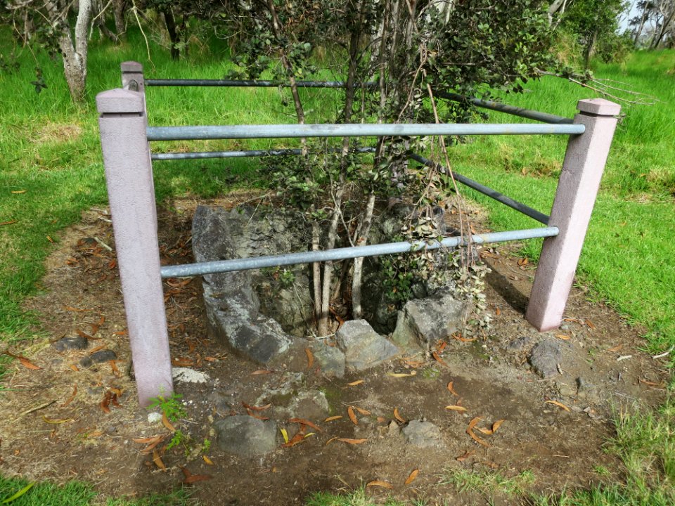Tree mold at Hawaii Volcanoes National Park I