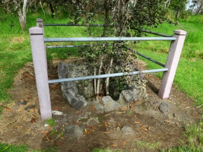 Tree mold at Hawaii Volcanoes National Park I