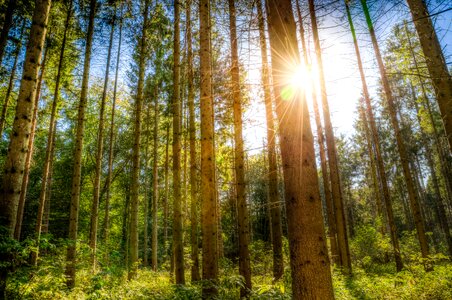 Blue sky green landscape photo