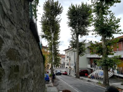 Traversetolo 39