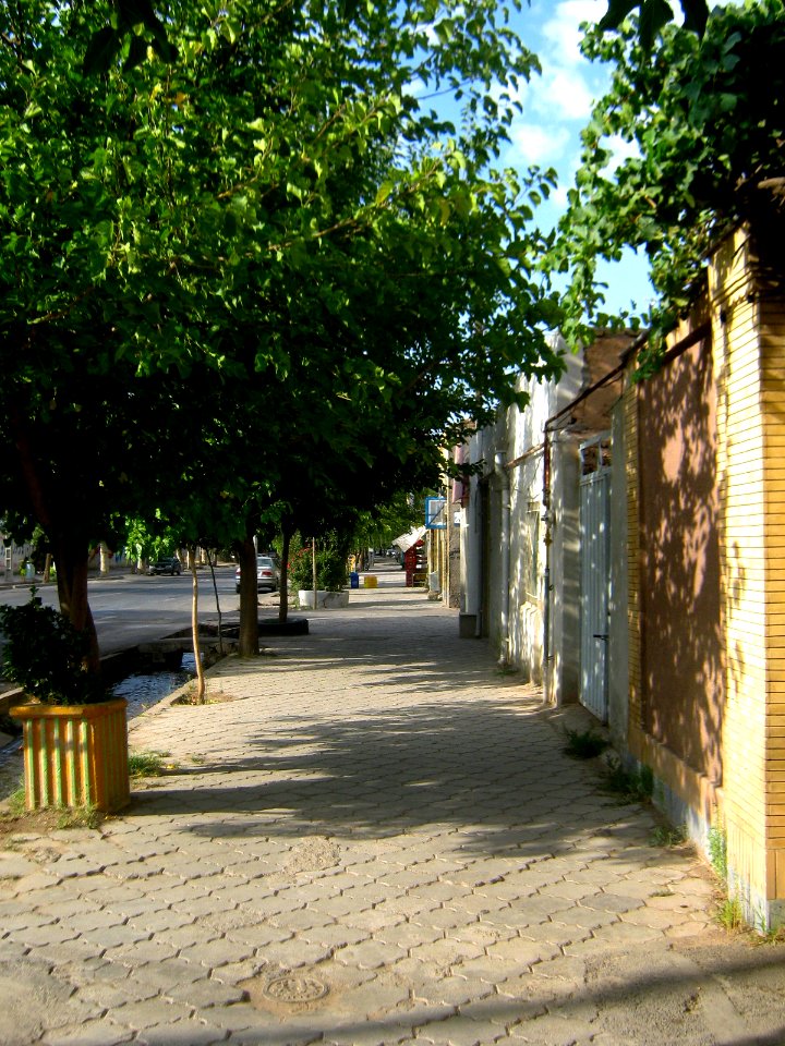 Tree in Istgah st - Nishapur 2