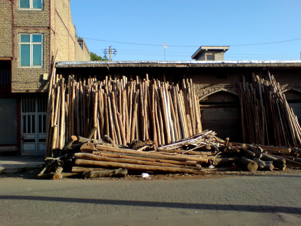 Tree trunks in Darwazeh Iraq Street-nishapur