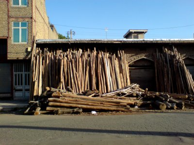 Tree trunks in Darwazeh Iraq Street-nishapur
