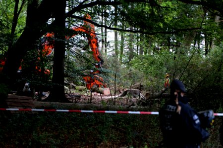 Tree cutting at Maulbach forest 2020-10-05 66