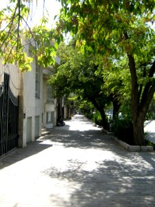 Tree - houses - sidewalk - Nishapur 12