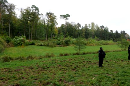 Tree cutting at Maulbach forest 2020-10-05 39