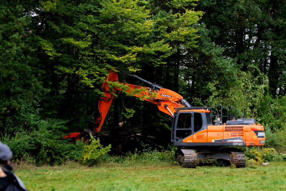 Tree cutting at Maulbach forest 2020-10-05 54