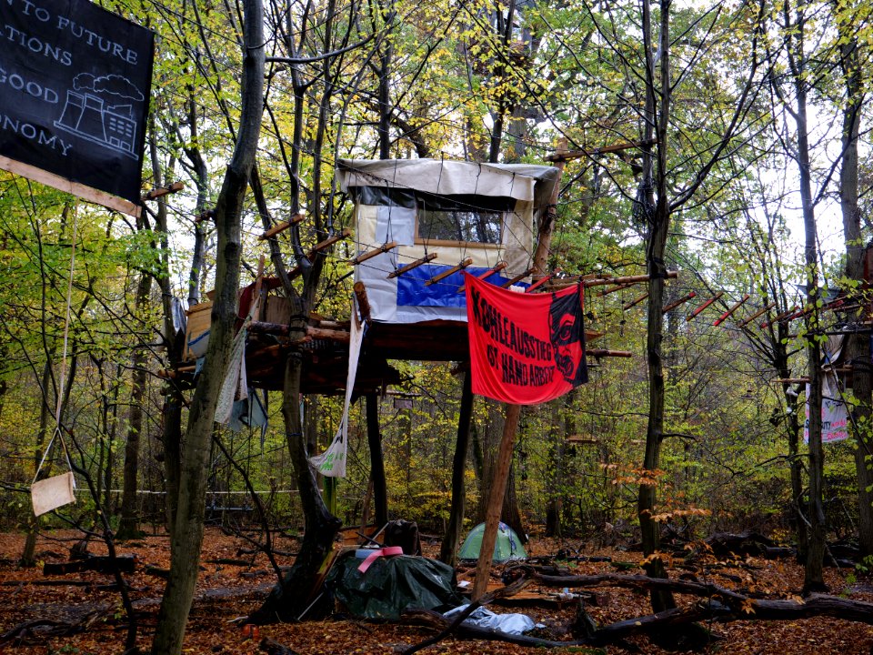 Treehouse in the Hambach forest 02