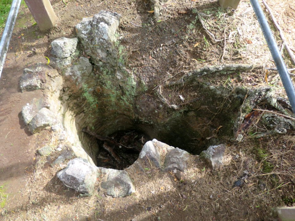 Tree mold at Hawaii Volcanoes National Park III