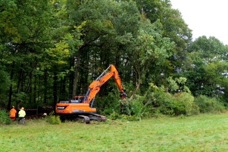 Tree cutting at Maulbach forest 2020-10-05 57