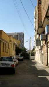 Tree - houses - sidewalk - Nishapur 23