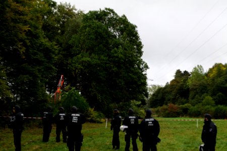 Tree cutting at Maulbach forest 2020-10-05 67