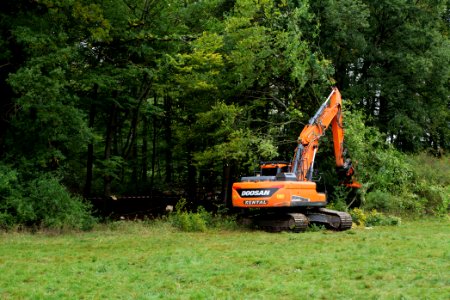 Tree cutting at Maulbach forest 2020-10-05 56