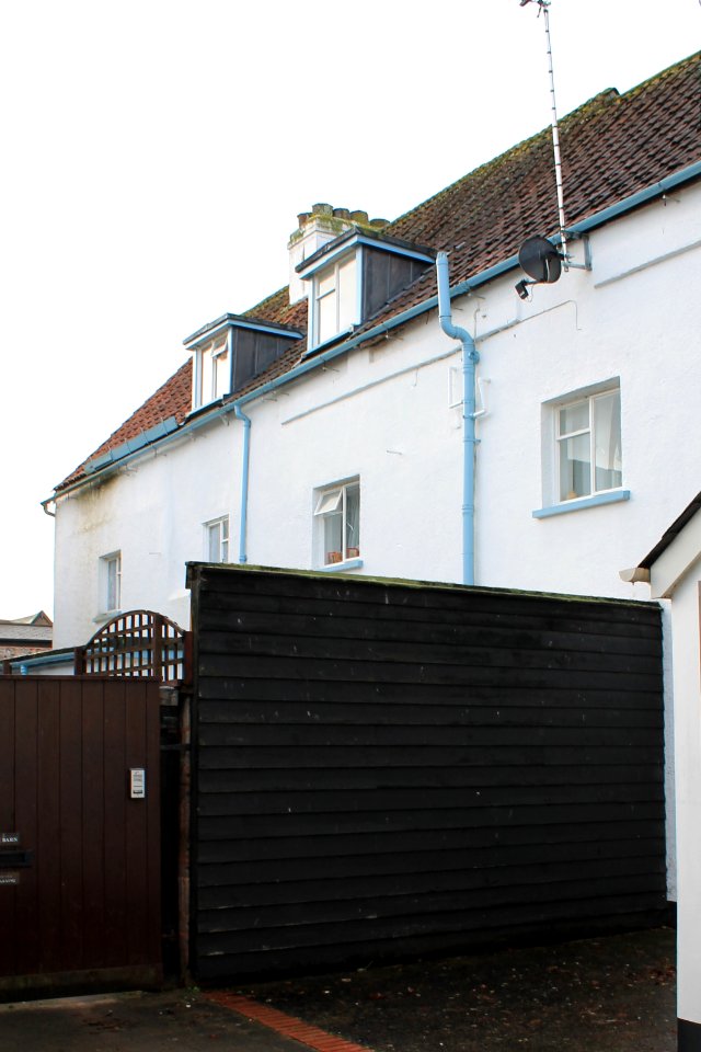 Trees Court
